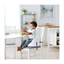Load image into Gallery viewer, Baby Base 2-in-1 Booster Seat - SnuggleBug Baby Gear